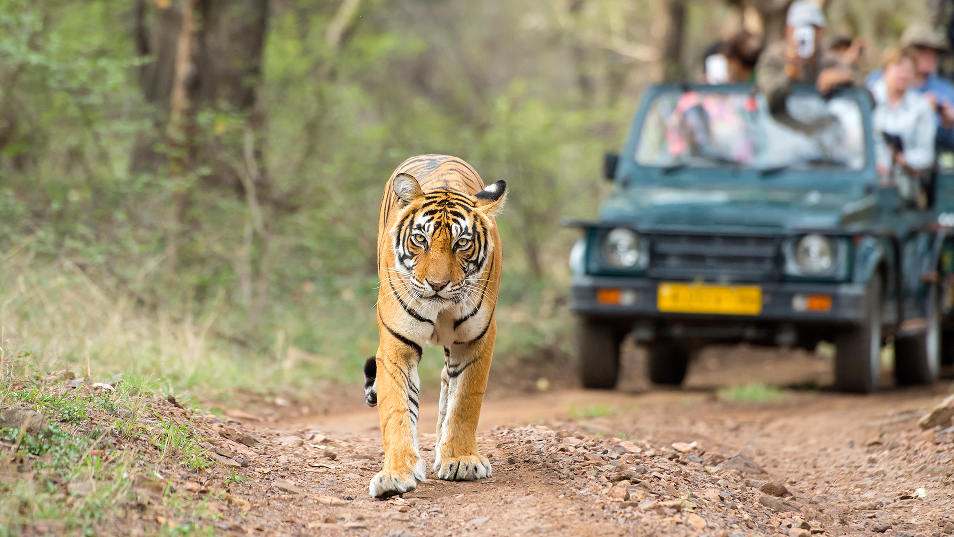 Corbett Group Tour